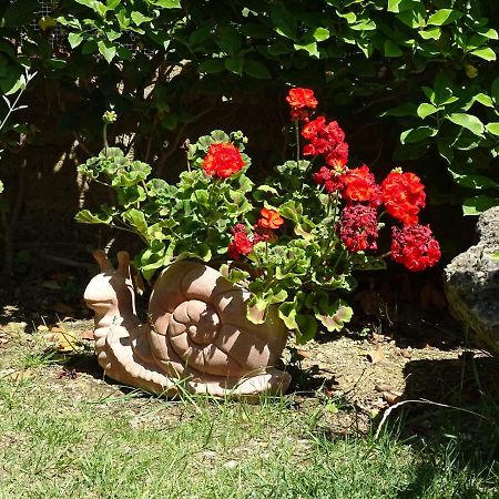 مارسياينا B&B La Dolce Vita المظهر الخارجي الصورة