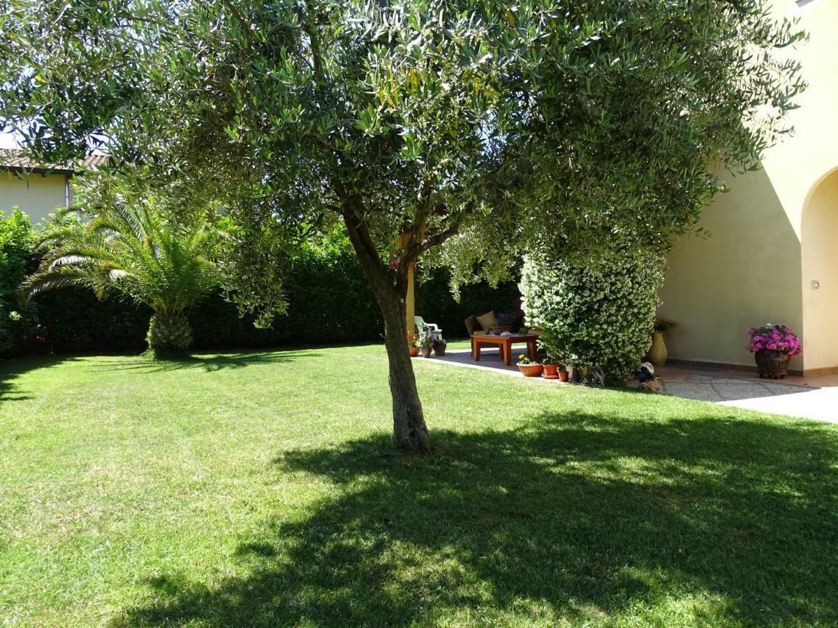 مارسياينا B&B La Dolce Vita المظهر الخارجي الصورة