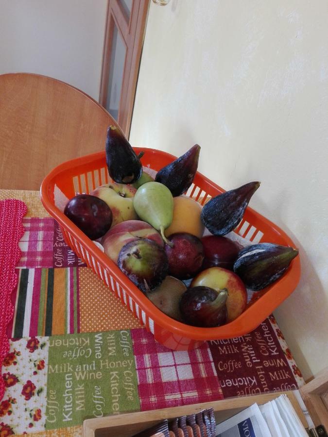 مارسياينا B&B La Dolce Vita المظهر الخارجي الصورة